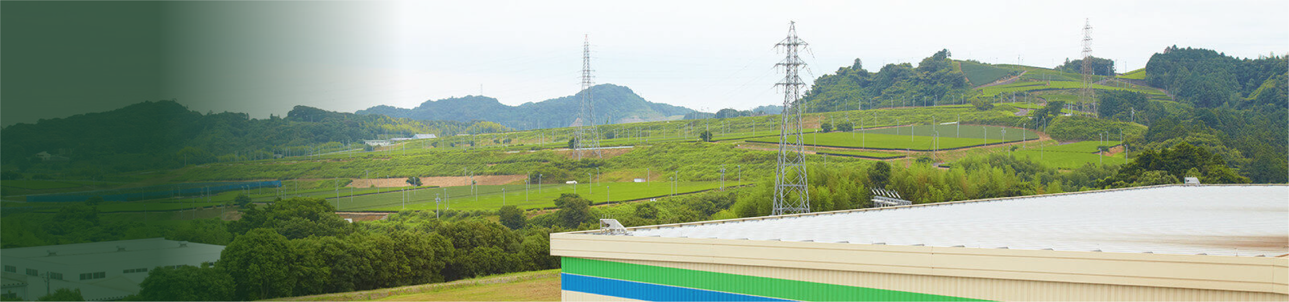 採用情報